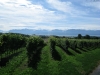 110807_broche_128
