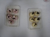 110807_broche_78