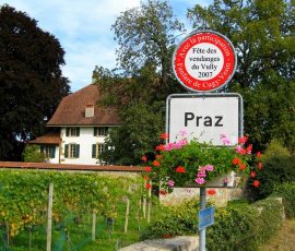 070922_fete_vendanges_vully_01