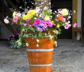 070922_fete_vendanges_vully_02