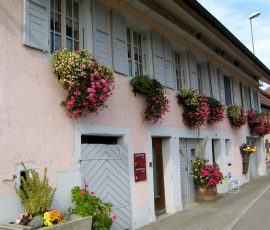 070922_fete_vendanges_vully_11