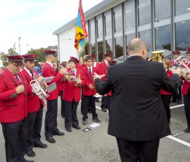 110111_fete_vendange_cheyres_05