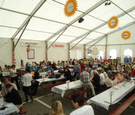 110529_fete_tir_cugy_15