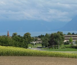 110807_broche_110
