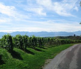 110807_broche_129
