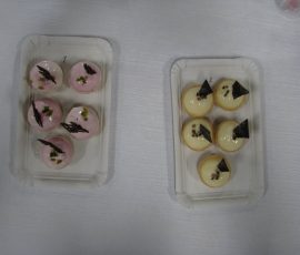 110807_broche_78