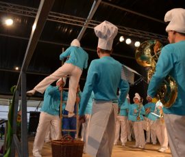 130505_giron_vuisternens_044