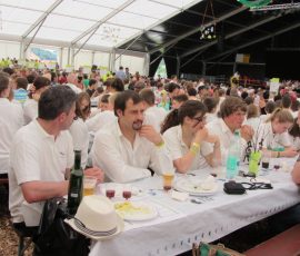 130616_cantonale_jeunes_belfaux_15