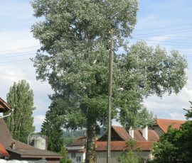 150530_giron_payerne_157