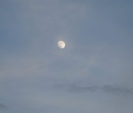 150530_giron_payerne_188