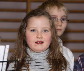 aud_flu_dec_2011_03