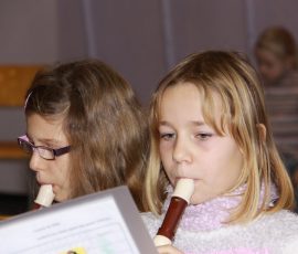 aud_flu_dec_2011_26