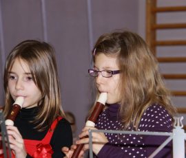 aud_flu_dec_2011_32