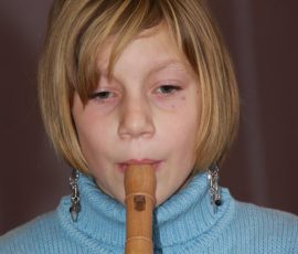 aud_flu_dec_2011_44