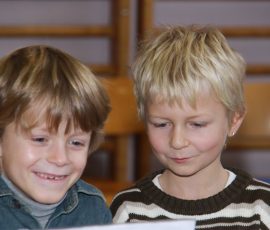 aud_flu_dec_2011_47